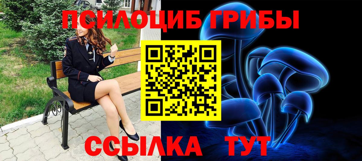 Галлюциногенные грибы мухоморы Киселёвск