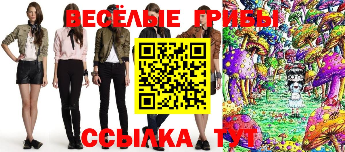 Псилоцибиновые грибы Psilocybine cubensis  Вход с VPN  Киселёвск  Псилоцибиновые грибы ЛСД 